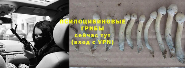 стафф Балабаново