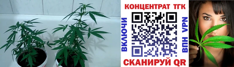 Дистиллят ТГК вейп с тгк  Дагестанские Огни 