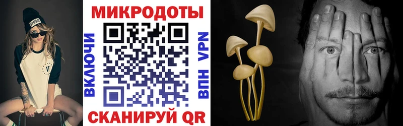 Псилоцибиновые грибы мицелий  купить  сайты  mega ссылки  Дагестанские Огни 