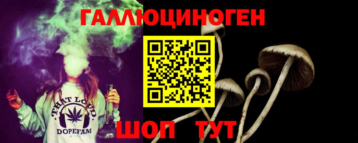 Галлюциногенные грибы ЛСД Дагестанские Огни
